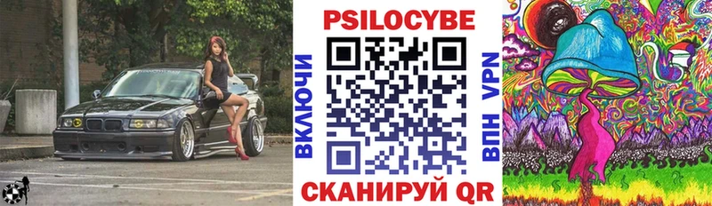 кракен tor  Кондрово  Галлюциногенные грибы Cubensis 