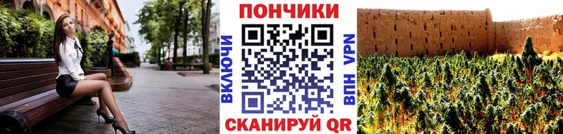 Бошки Шишки Amnesia  Кондрово 